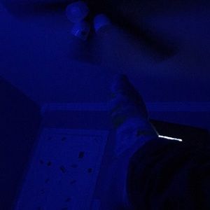 Meet your Posher, Ben